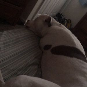 Meet your Posher, Toni